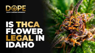 Is THCA Flower Legal in Idaho? State Laws Explained