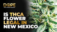 Is THCA Flower Legal in New Mexico? Laws & Regulations