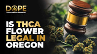 Is THCA Flower Legal in Oregon? 2025 Laws & Benefits