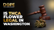Is THCA Flower Legal in Washington? 2025 Laws & Access