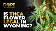 Is THCA Flower Legal In Wyoming? Laws, Benefits & Safety