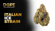 Italian Ice Strain Review | Effects, Flavor & Grow