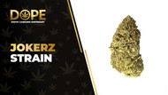 Jokerz Strain Review: Flavor, Effects & Growing Guide