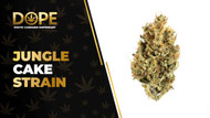 Jungle Cake Strain Review: Flavor, Effects & Benefits