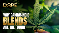 HHC vs. THCA: How Cannabinoid Blends Are Shaping Cannabis