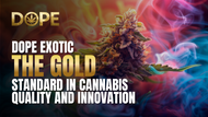 Why DOPE Dispensary Sets the Standard for Quality Cannabis
