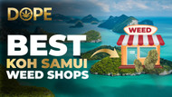 Best Koh Samui Weed Shops | Top Places to Buy Cannabis