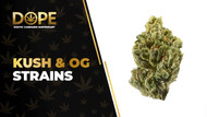 Kush & OG Strain Review: Effects, Flavor & Growing Guide