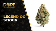 Legend OG Strain Review: Effects, Flavor & THC Guide