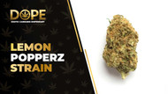 Lemon Popperz Strain Review: Flavor, Effects & Potency