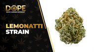Lemonatti Strain Review: Citrus Flavor & Potent Effects