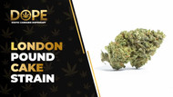 London Pound Cake Strain: Flavor, Effects & Review