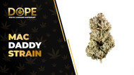 Mac Daddy Strain: Flavor, Effects, Genetics & THCA Flower