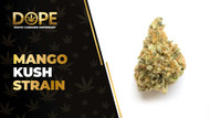 Mango Kush Strain Review: Tropical Flavor & Relaxing High