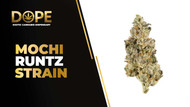 Mochi Runtz Strain Review | Creamy Flavor & Effects