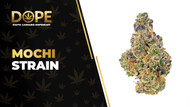 Mochi Strain Review: Flavor, Effects & Growing Guide