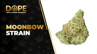 Moonbow Strain Review: Flavor, Effects & Growing Guide