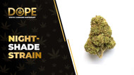 Night-Shade Strain Review: Sweet Flavour & Relaxing Effects