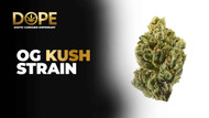 OG Kush Guide 2025: Effects, History & Where to Buy
