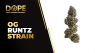 OG Runtz Strain Review: Sweet Candy & Kush Gas Power