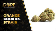 Orange Cookies Strain Review: Flavor, Effects & THC