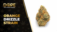 Orange Drizzle Strain: Flavor, Effects & Genetics