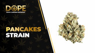 Pancakes Strain: Sweet Flavor, Effects & Hybrid Genetics