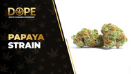 Papaya Strain Review: Tropical Flavor & Relaxing High