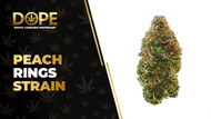 Peach Rings Strain Review: Sweet Flavor & Hybrid Effects
