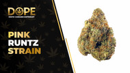 Pink Runtz Strain Review: Flavor, Effects & Potency