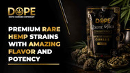 Premium Rare Hemp Strains with Amazing Flavor and Potency