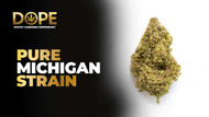 Pure Michigan Strain Review | Flavor, Effects & Grow Guide