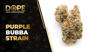 Purple Bubba Strain Review: Flavor, Effects & THC Guide