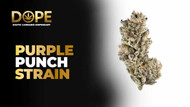 Purple Punch Strain Review | Flavor, Effects & Grow Guide