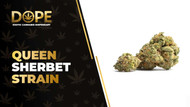 Queen Sherbet Strain: Sweet Flavor, Effects & Genetics