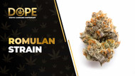 Romulan Strain Review: Earthy Flavour & Relaxing Effects
