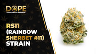 RS11 Strain Review: Flavor, Effects & Potency Guide