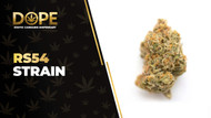 RS54 Strain: Flavor, Effects & THCA Flower Guide