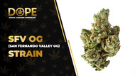 SFV OG Strain Review: Citrus Kush & Balanced High