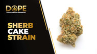 Sherb Cake Strain Review | Creamy Flavor & Effects