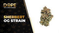 Sherbert OG Strain: Sweet Flavor, Effects & OG Genetics