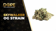 Skywalker OG Strain Review: Effects, Flavor & Potency