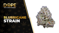 Slurricane Strain Review: Sweet Flavor & Deep Relaxation
