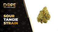 Sour Tangie Strain Review: Citrus Flavor & Uplifting High