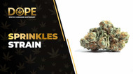 Sprinkles Strain: Flavor, Effects, Genetics & THCA Flower