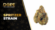 Spritzer Strain: Flavor, Effects & Hybrid Genetics