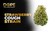Strawberry Cough Strain Guide: Effects, Flavor & Growing