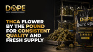 THCA Flower by the Pound for Consistent Quality and Fresh Supply
