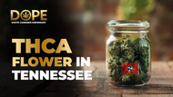 Discovering THCA Flower Tennessee: Benefits and Legal Insights