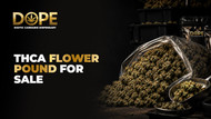 THCA flower pound for sale